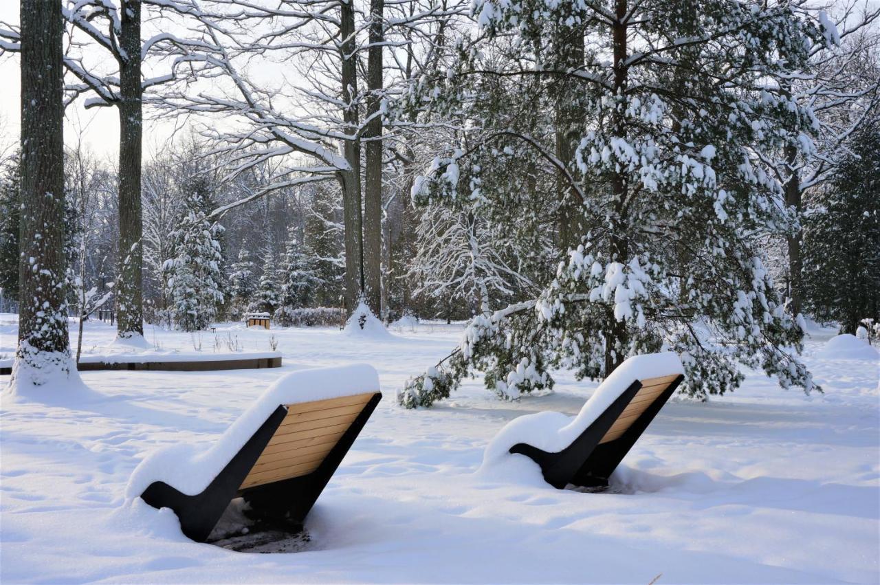Hajnówka Enklawa Bialowieska Forest & Spa מראה חיצוני תמונה